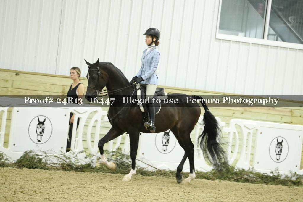 Proof 24R13_16447