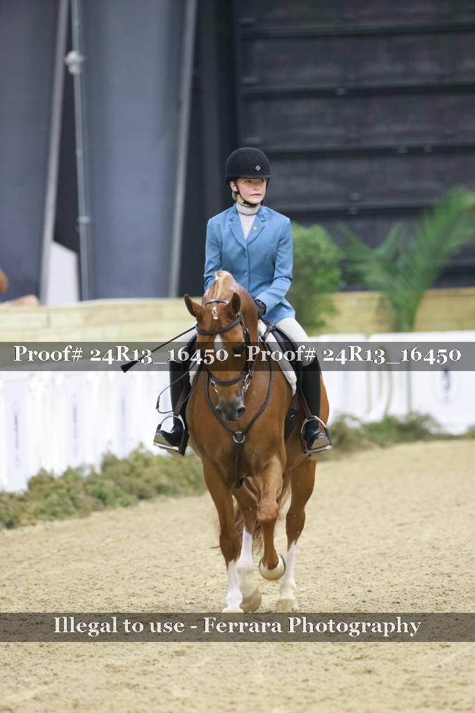 Proof 24R13_16450