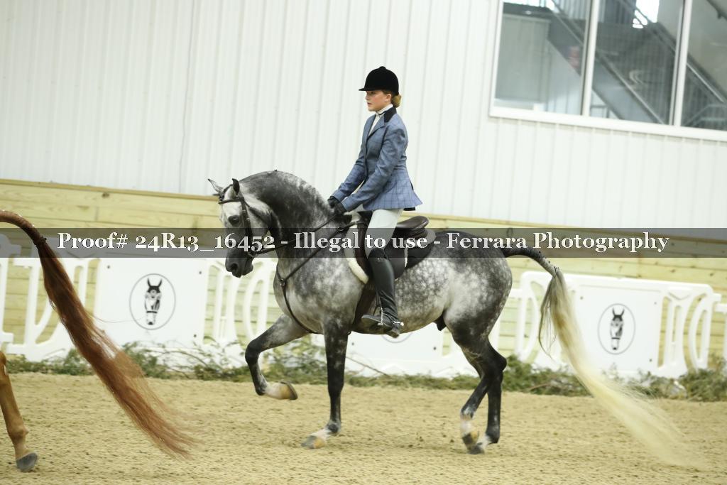 Proof 24R13_16452