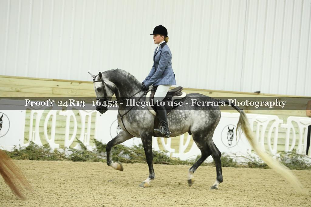 Proof 24R13_16453