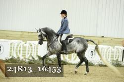 24R13_16453 proof