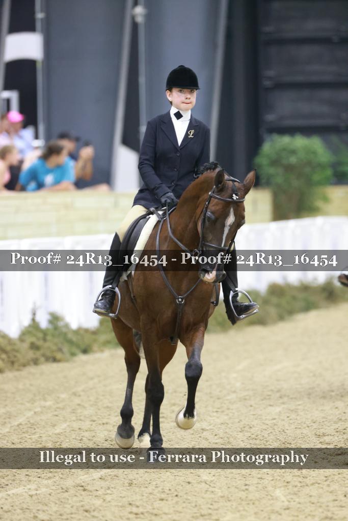 Proof 24R13_16454
