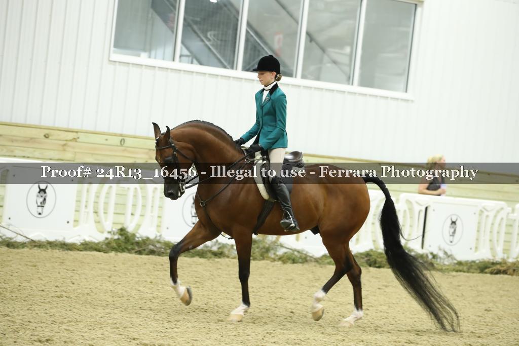 Proof 24R13_16456