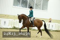 24R13_16456 proof