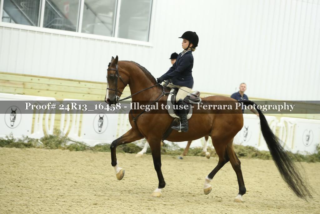 Proof 24R13_16458
