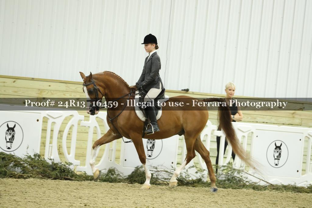 Proof 24R13_16459