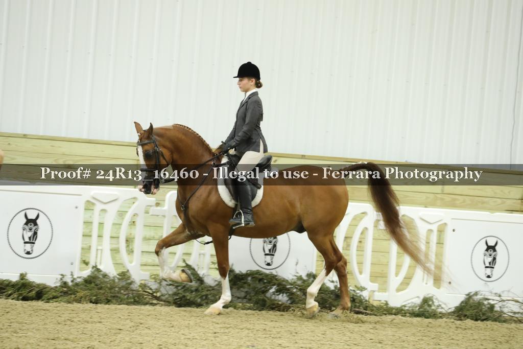 Proof 24R13_16460