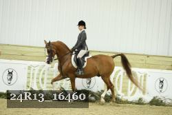 24R13_16460 proof