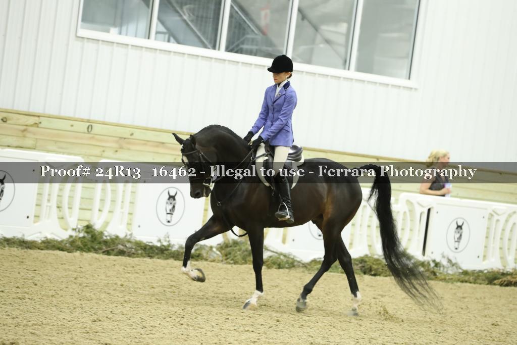Proof 24R13_16462
