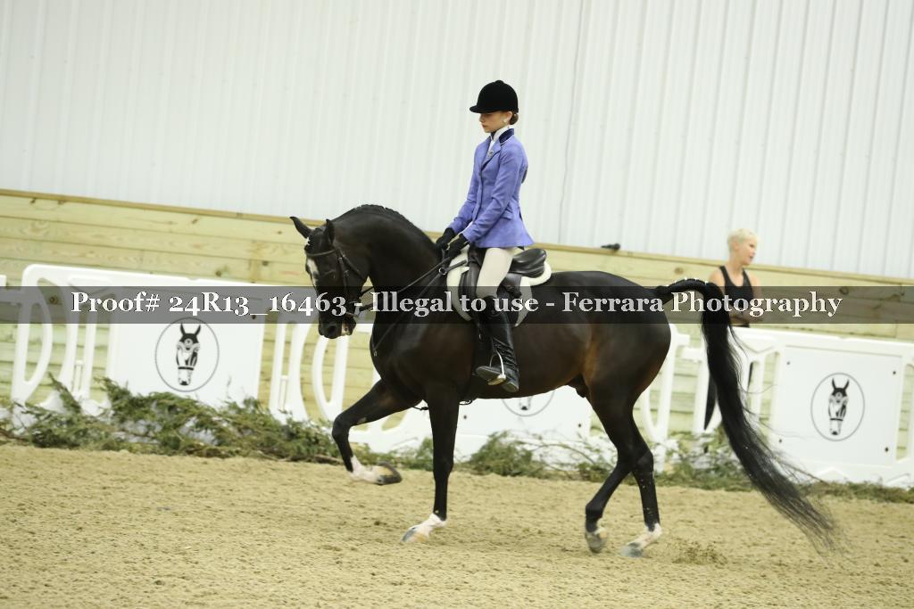 Proof 24R13_16463