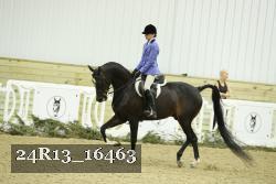 24R13_16463 proof