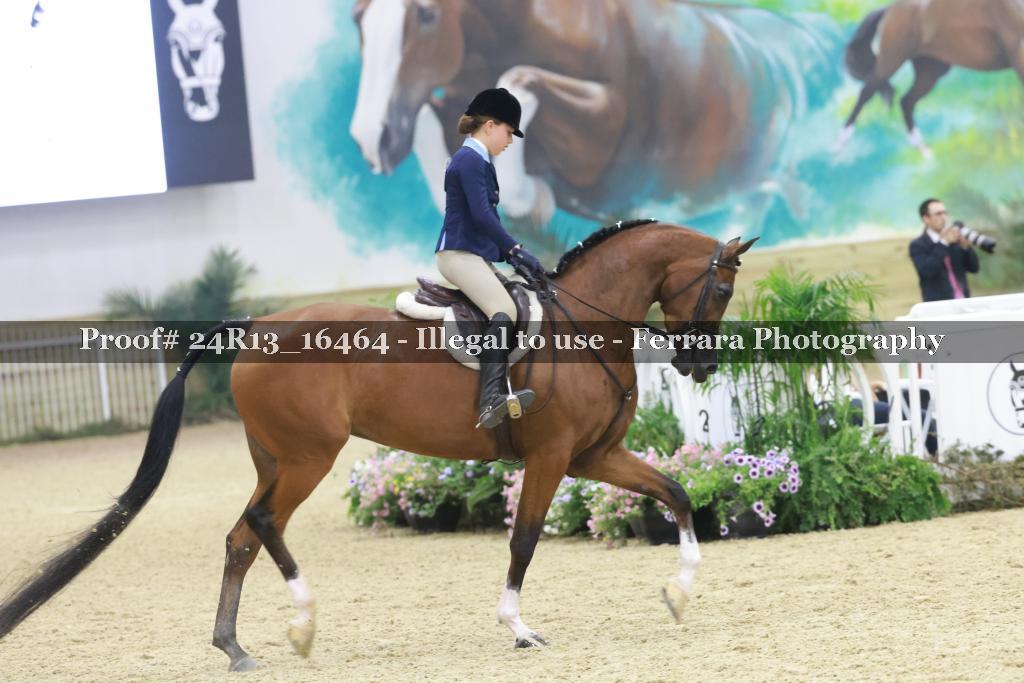 Proof 24R13_16464