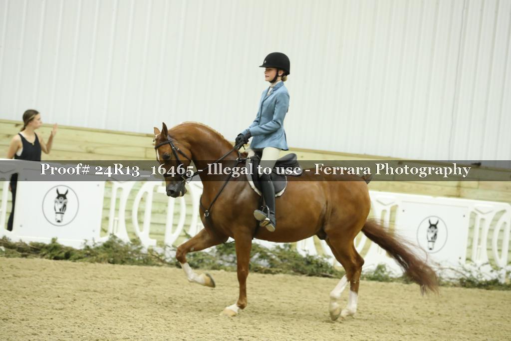 Proof 24R13_16465