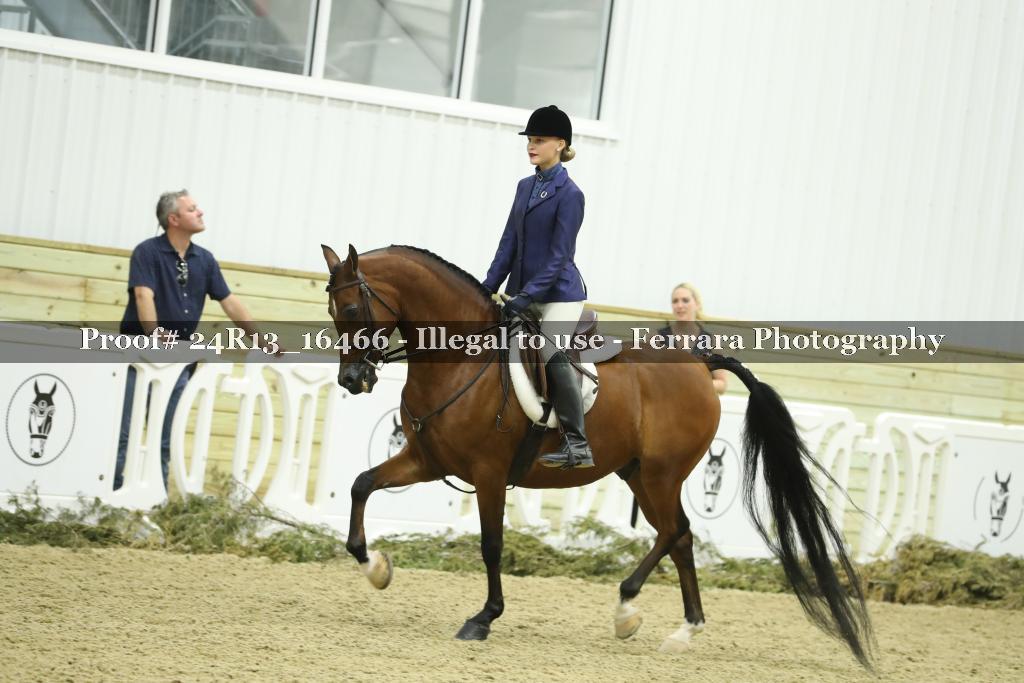 Proof 24R13_16466