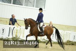 24R13_16466 proof
