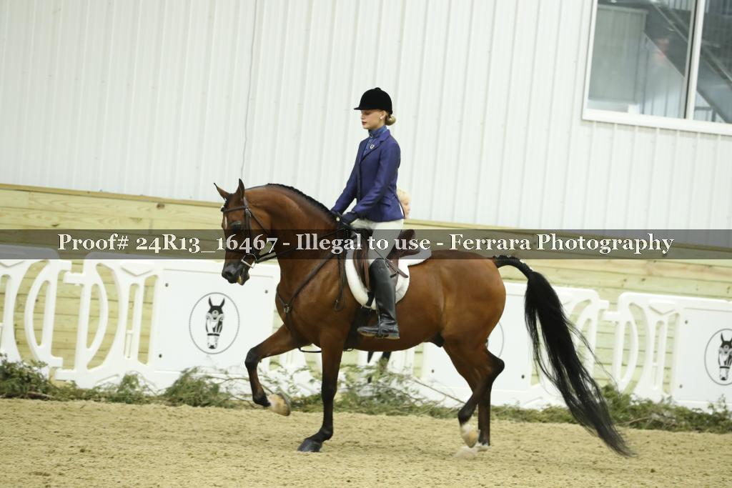 Proof 24R13_16467