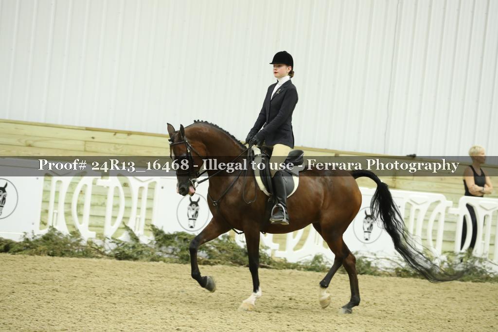 Proof 24R13_16468