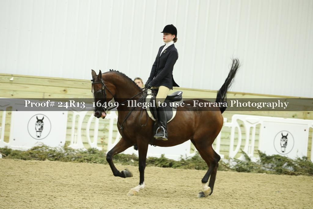 Proof 24R13_16469