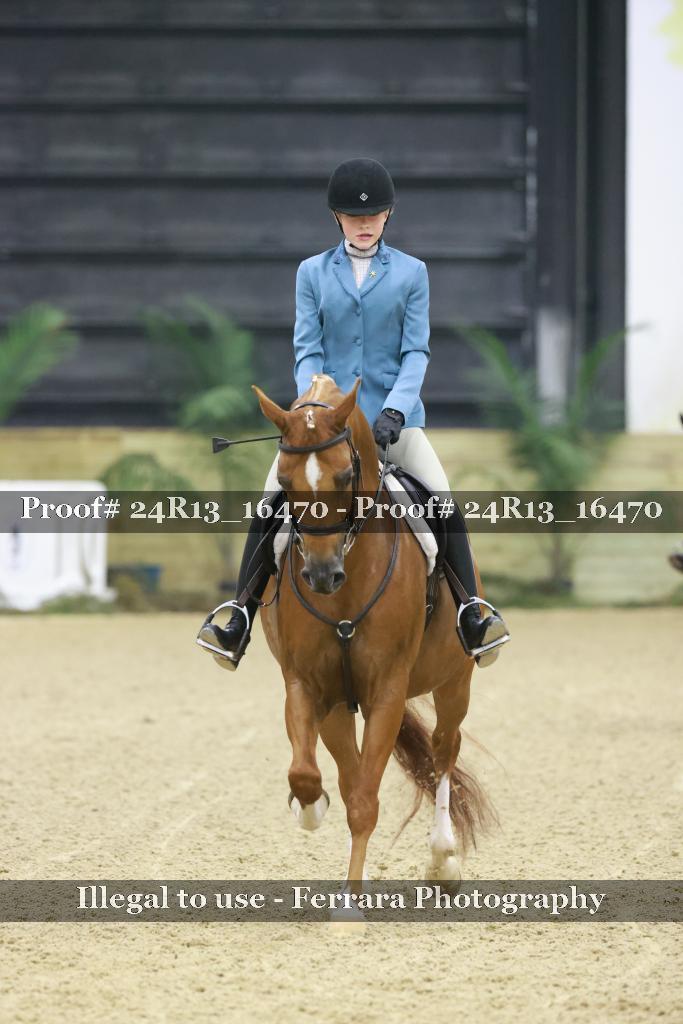 Proof 24R13_16470