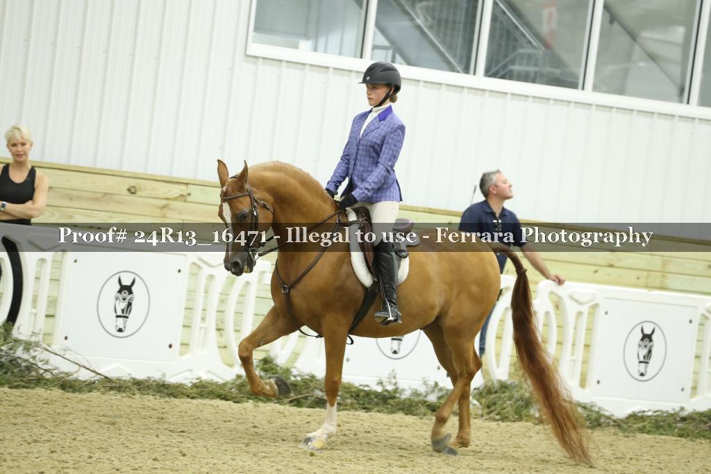 Proof 24R13_16471