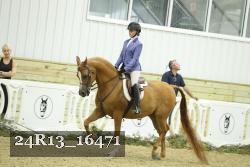 24R13_16471 proof