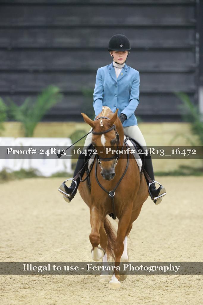 Proof 24R13_16472