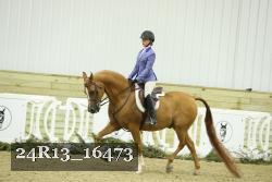 24R13_16473 proof