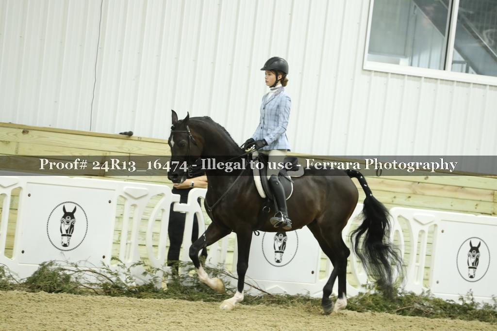 Proof 24R13_16474