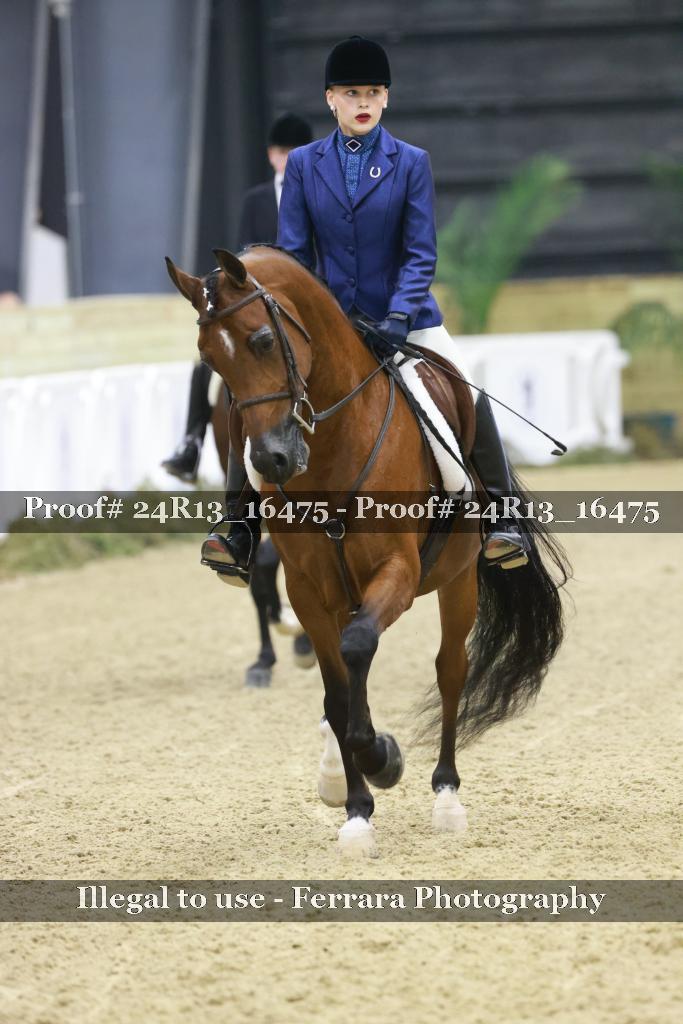 Proof 24R13_16475