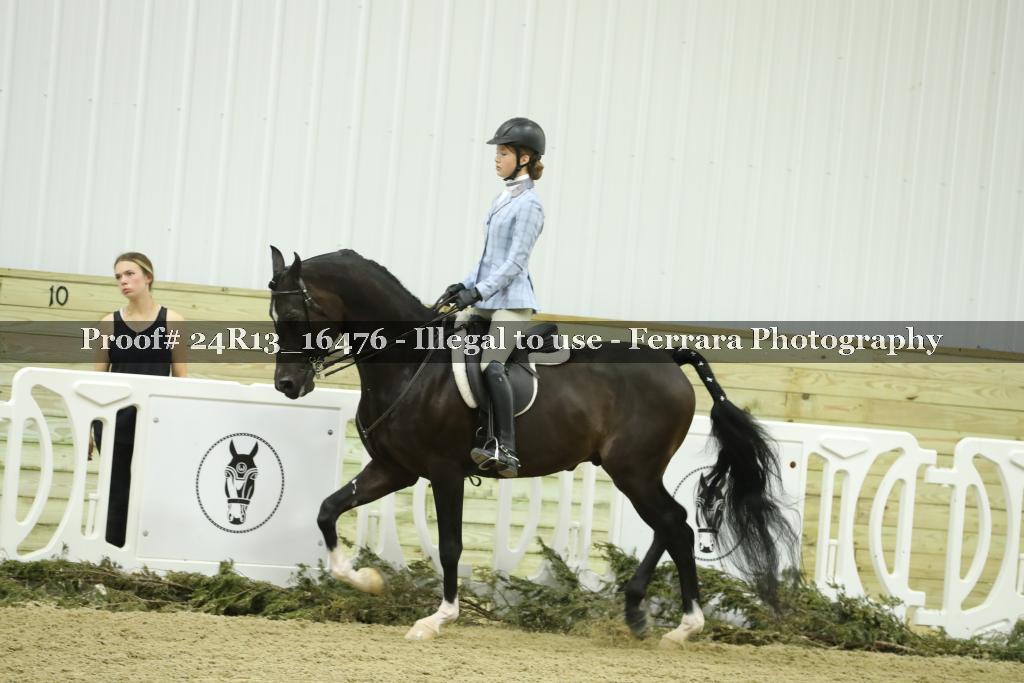 Proof 24R13_16476
