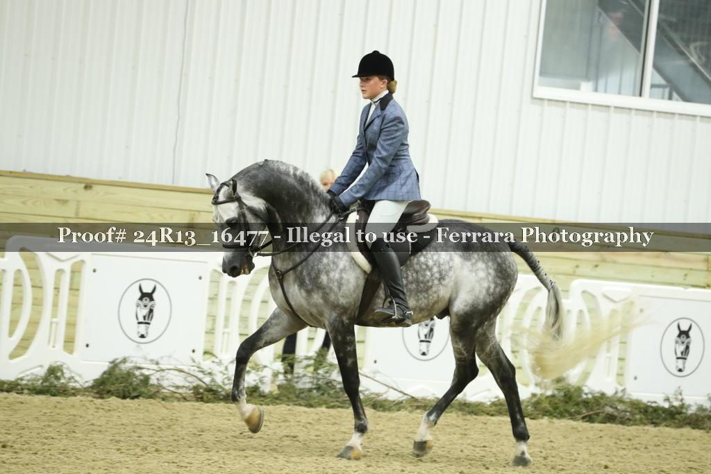 Proof 24R13_16477