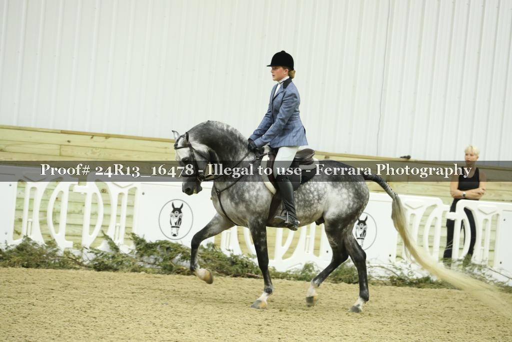 Proof 24R13_16478