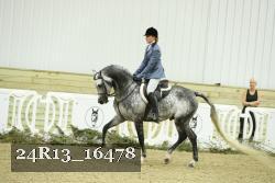 24R13_16478 proof
