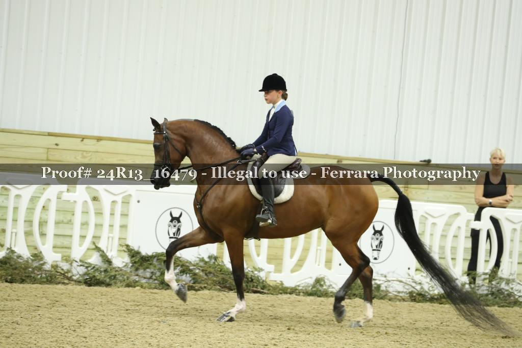 Proof 24R13_16479