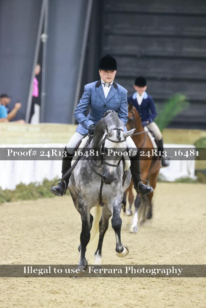 Proof 24R13_16481