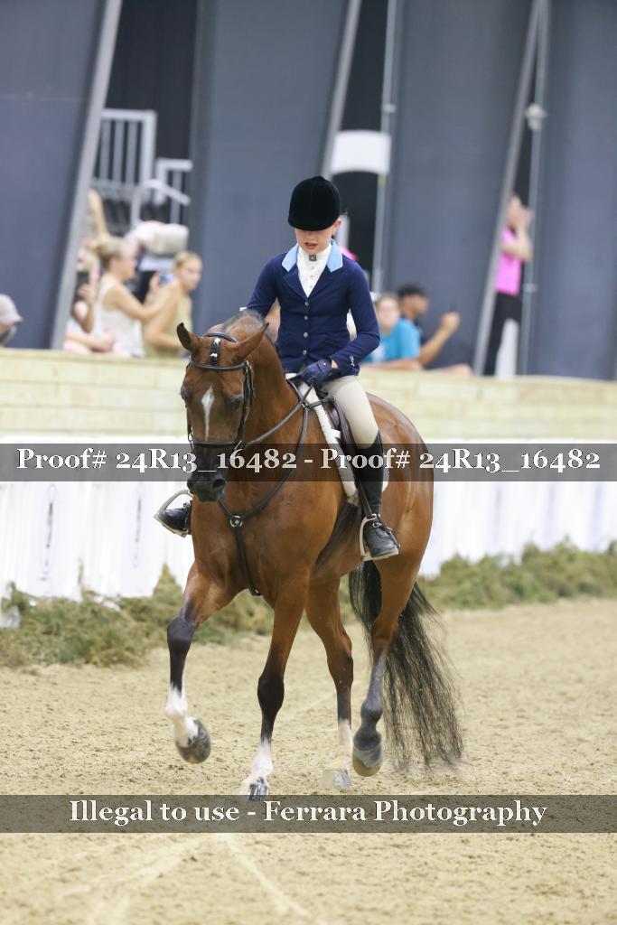 Proof 24R13_16482