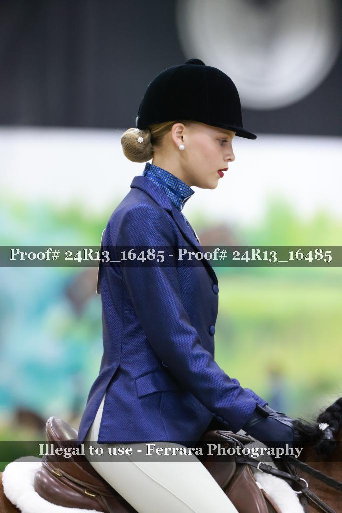 Proof 24R13_16485