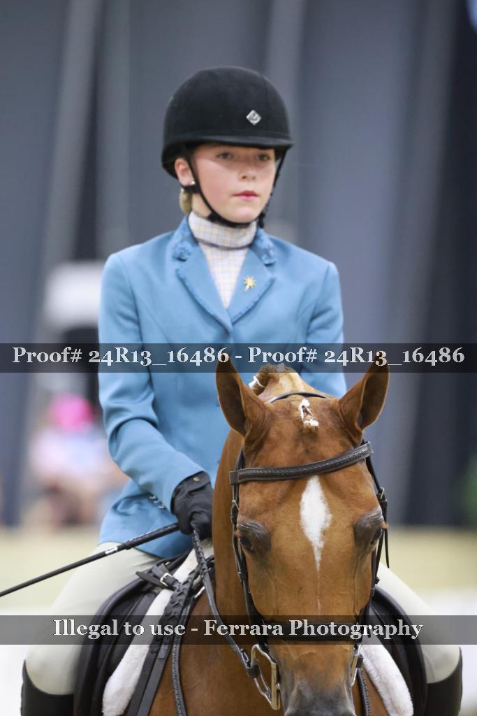 Proof 24R13_16486