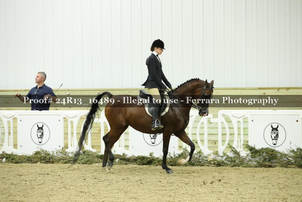 Proof 24R13_16489