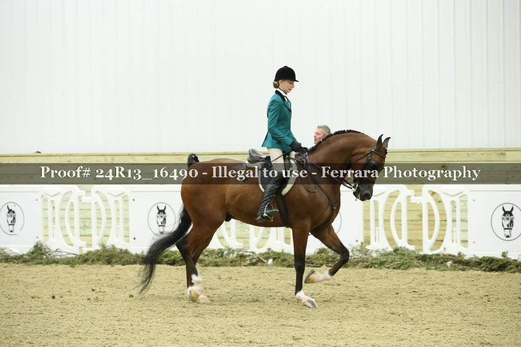 Proof 24R13_16490