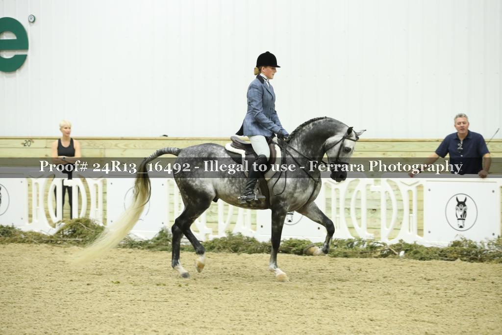 Proof 24R13_16492