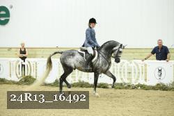 24R13_16492 proof