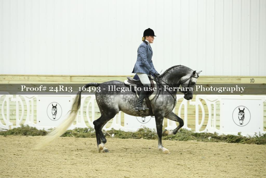 Proof 24R13_16493