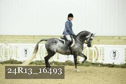 24R13_16493 proof