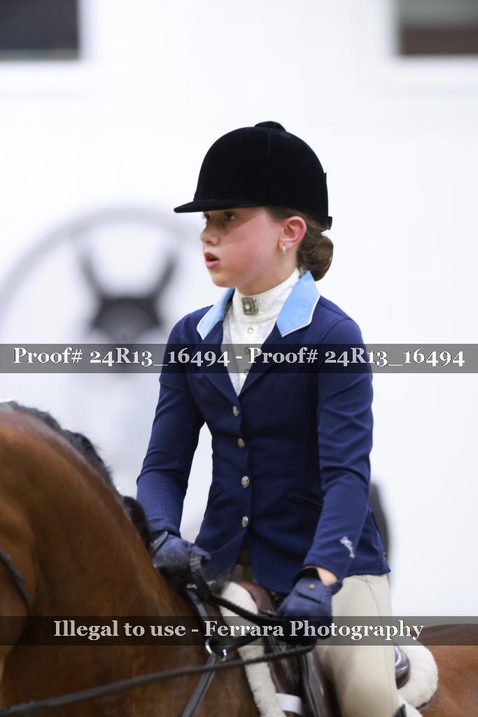 Proof 24R13_16494