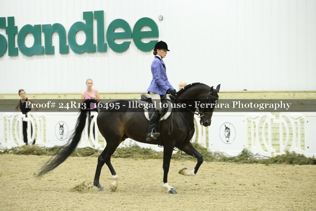 Proof 24R13_16495