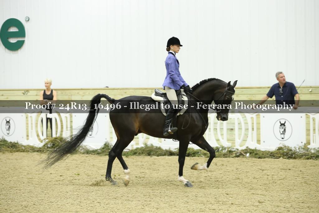 Proof 24R13_16496