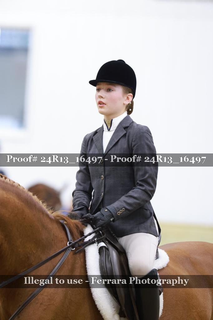 Proof 24R13_16497