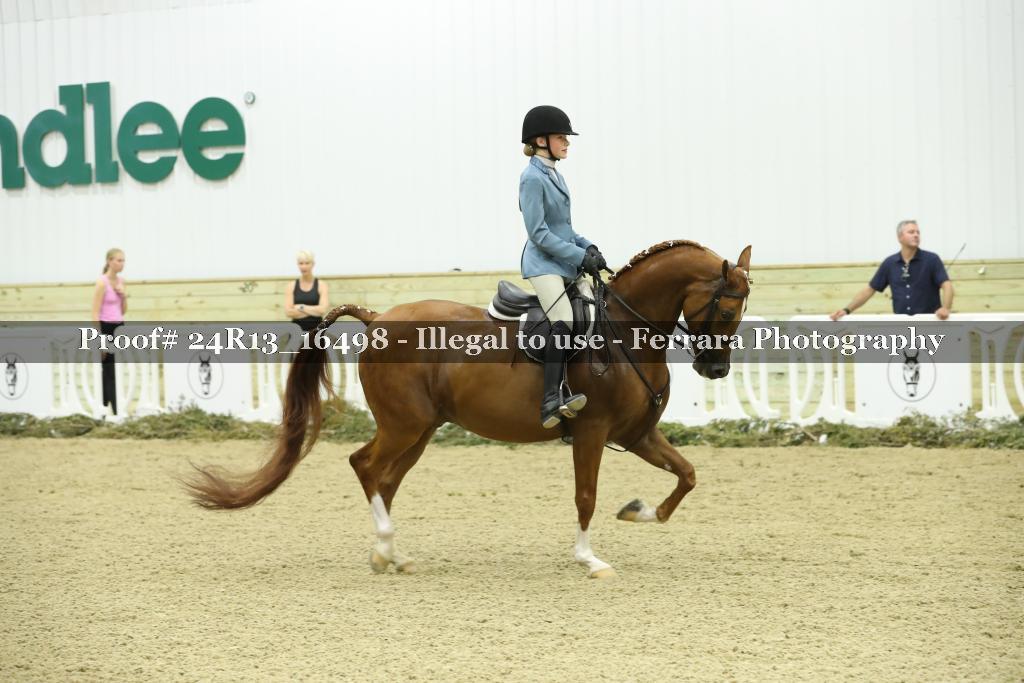Proof 24R13_16498