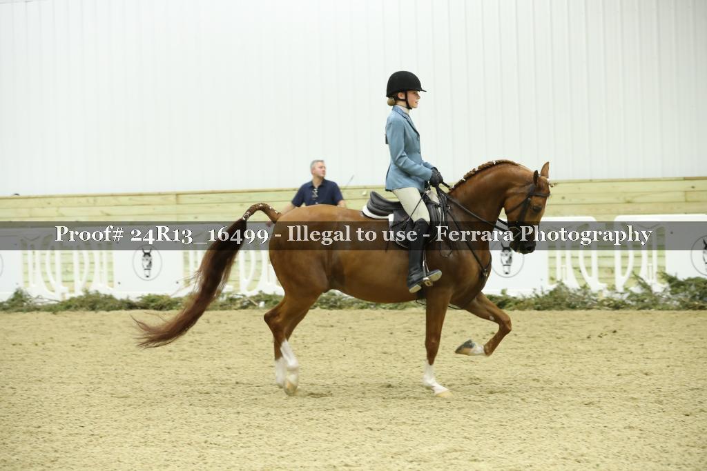 Proof 24R13_16499